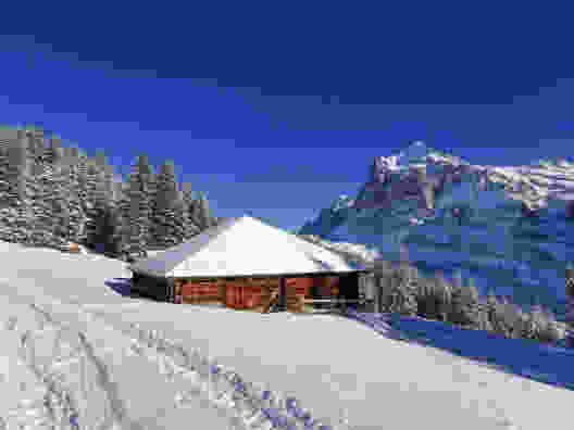 Am Sonnenhang von Grindelwald