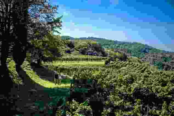 À la découverte des parcs naturels
