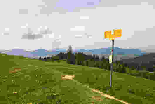 Alpweiden zwischen Sihlsee und Zürichsee