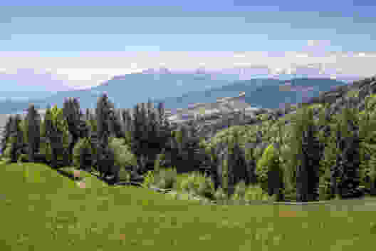 Du Vorderland appenzellois à la vallée du Rhin