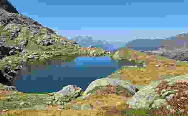 Goldvreneli am Gadenlouwisee