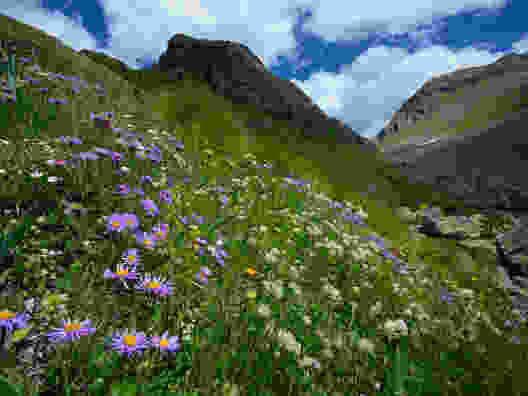 Un paradis floral tout près de la frontière