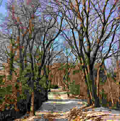 L’hiver dans le val Muggio