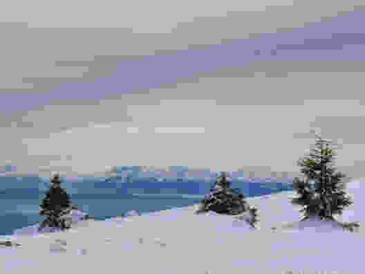 Schneeschuhwanderung auf den Chasseron