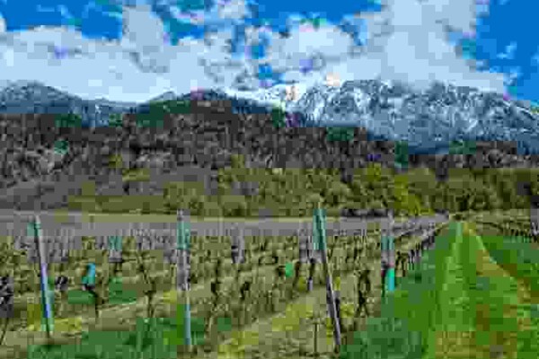 Vignes et châteaux dans la Seigneurie grisonne