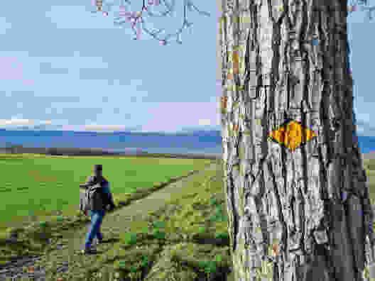 Promenade dans la campagne genevoise