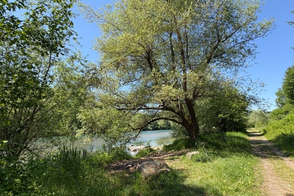 Au soleil le long de la Reuss