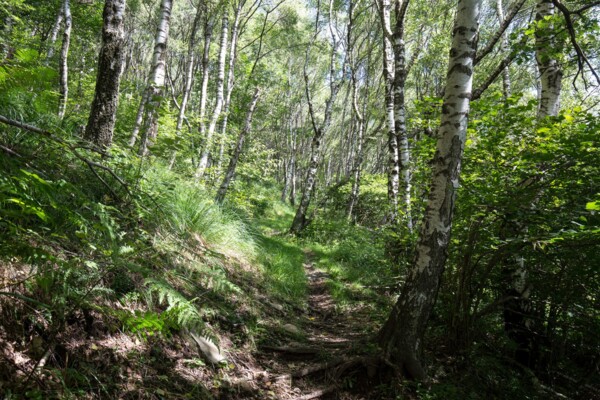 Balançoire géante au-dessus du tunnel du Ceneri