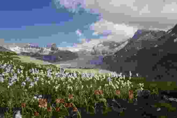 Le glacier du Rhône par le Nägelisgrätli