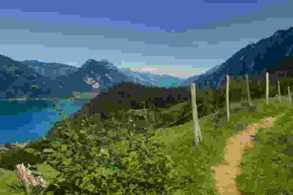 Randonnée picturale au bord du lac de Thoune