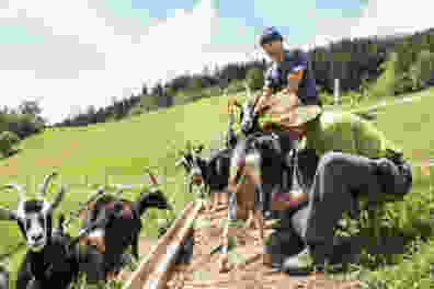 Von Brigels zum Hospezi in Trun (GR)