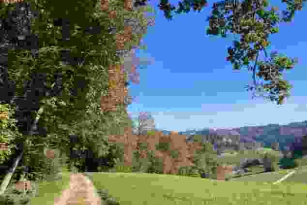 Farbige Herbstwälder und Sandsteinfelsen