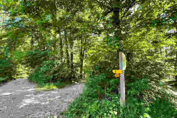 Idylle im hohen Norden 