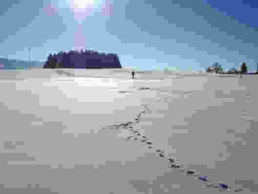 Randonnée hivernale dans les Franches-Montagnes