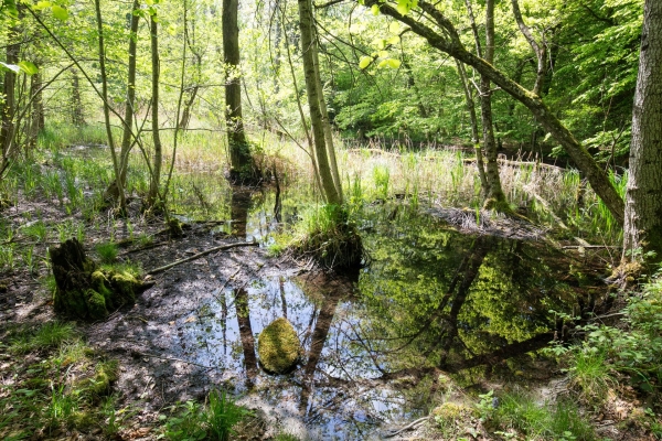 Sur les traces du sel entre Diessenhofen et Schaffhouse