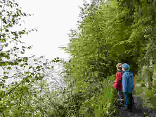 Sur la rive du lac de la Gruyère