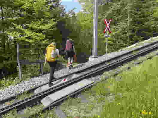 Douceur printanière et belles vues au Rigi