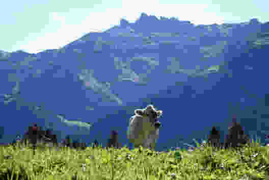 Von Braunwald zum Oberblegisee