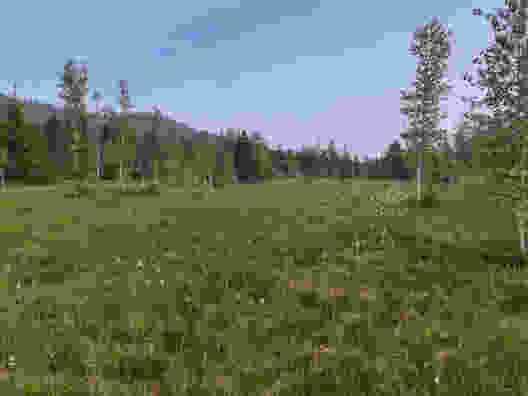 Entre l’Emmental et l’Oberland bernois