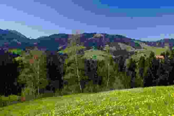 Zum Saisonstart mal auf 1'000 Meter