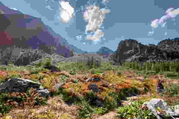 R42: La Caffe - Alpage de Bovine - Plan d'en Haut - Col de Champex - Champex-Lac