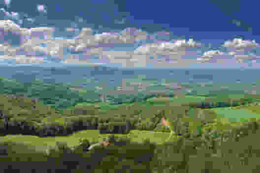 Nel paradiso dei ciliegi