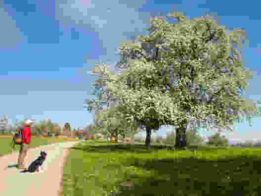 Frühling auf dem Seerücken