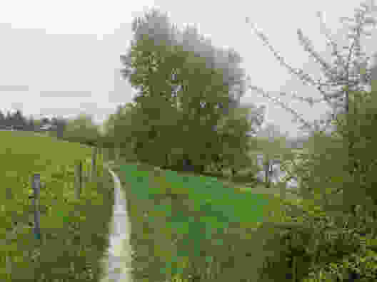Am Ufer des Greyerzersees