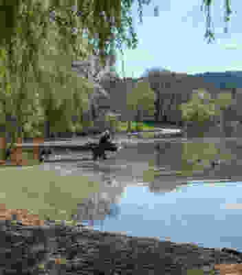 Jusqu’au lac de Burgäschi