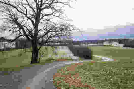Winterlicher Gang dem Greifensee entlang