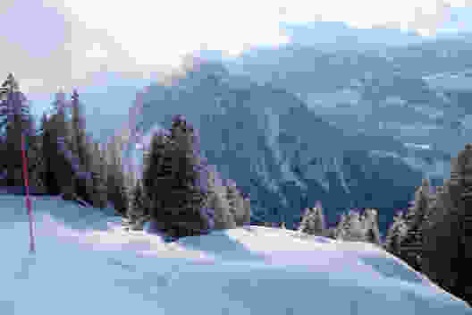 Auf der Rigi Scheidegg