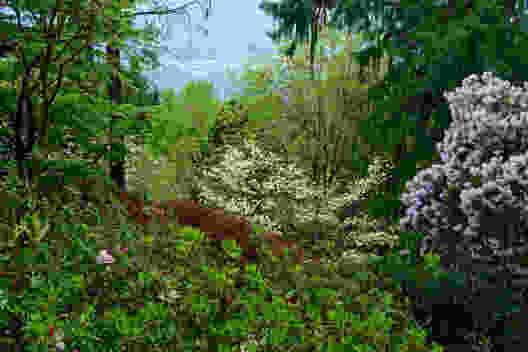 Frühling im Gambarogno 
