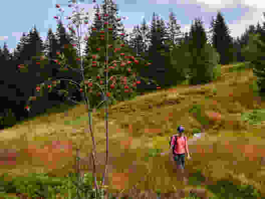 Mythenblick im Kanton Schwyz