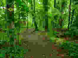 Le long de l’Aubonne sauvage