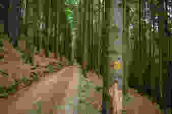 Die Anziehungskraft des Leuenfalls
