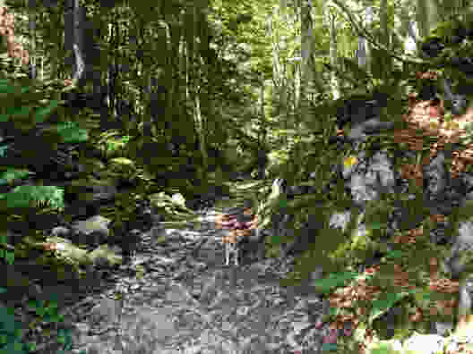 Badespass und Windenpass