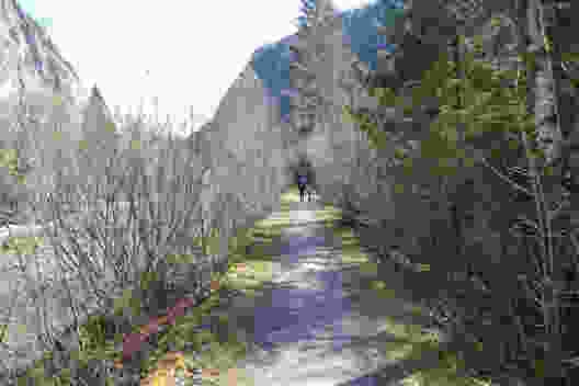 De la vallée de la Simme au lac de Thoune