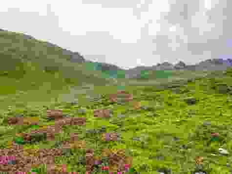 Rundwanderung aufs Rinerhorn