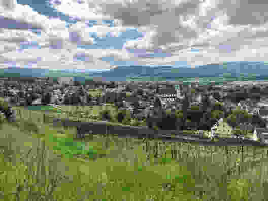 Drei-Burgen-Wanderung im Dorneck