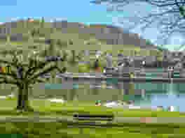 Frühlingswanderung am Hochrhein 