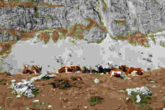 Du Diemtigtal au Simmental
