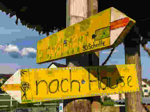 Zu jungen Blüten und alten Bäumen