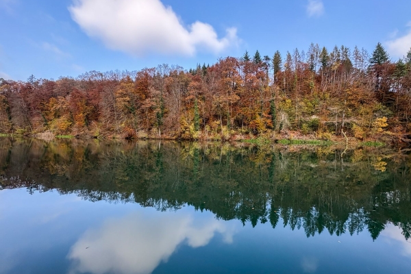 Dans l’Auenschutzpark argovien