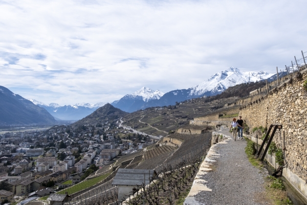 Lungo la Bisse de Clavau nei pressi di Sion