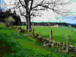 Durch Wälder und Weiden