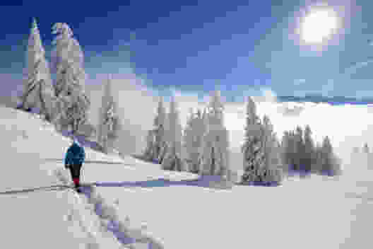 Auf der Rigi Scheidegg