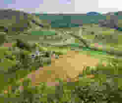 Rothenfluh