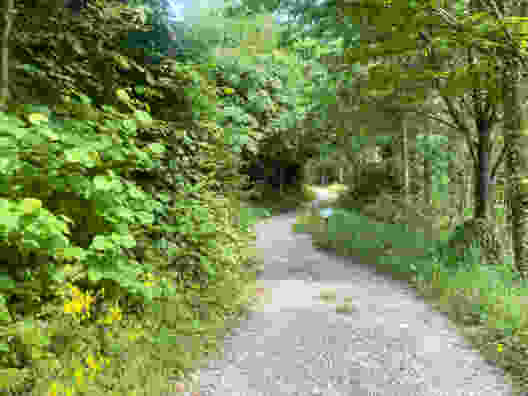Par des chemins sinueux