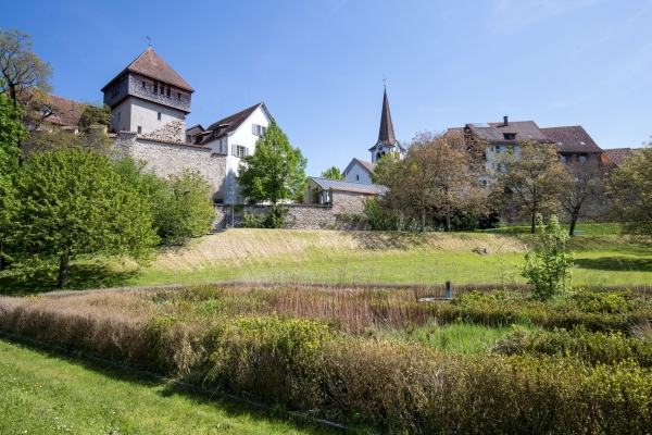 Wo einst am Rhein der Salzhandel blühte