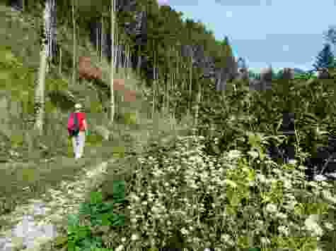 La Vudalla, dans le Parc naturel Gruyère Pays-d’Enhaut